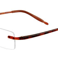Picture of Lightweight Tortoise Reading Glasses