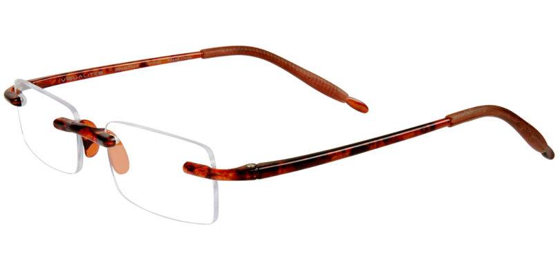 Picture of Lightweight Tortoise Reading Glasses