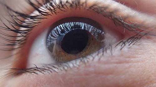 close-up of an eyeball 